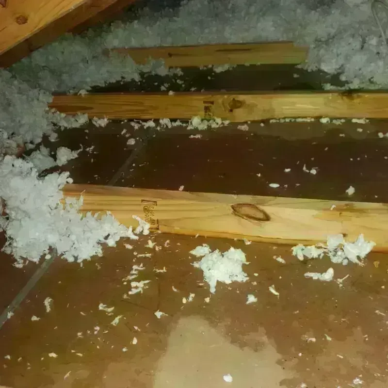 Attic Water Damage in Lacy-Lakeview, TX